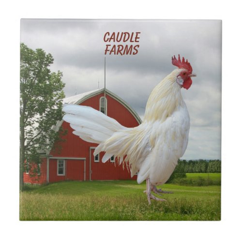 PERSONALIZE WHITE ROCK ROOSTER CERAMIC TILE