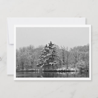 Personalize Winter Evergreen in Black and White Holiday Card