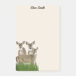 Personalize With His Name Whitetail Deer Post-it Notes