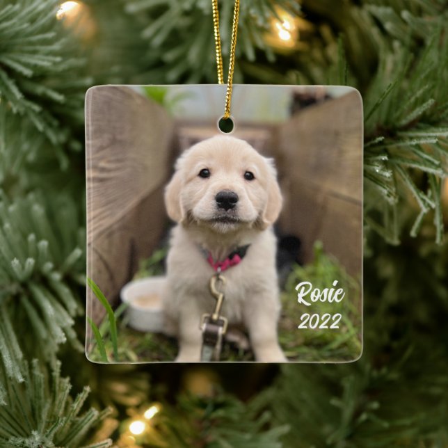 Personalize with Your Pet Picture Ceramic Ornament (Tree)