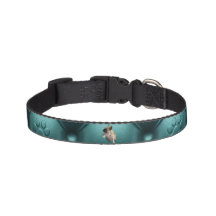 Personalize your Green Dog Collar with a photo