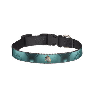 Personalize your Green Dog Collar with a photo