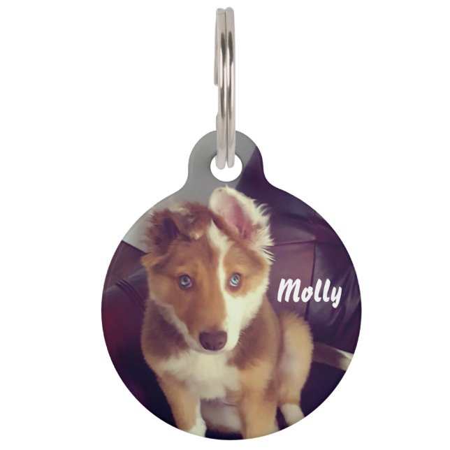 Personalize your own pet ID tag (Front)