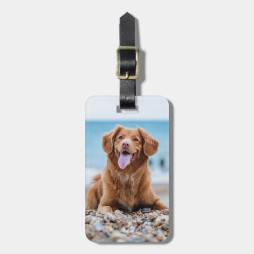 Personalized 2 Photo Custom Create Your Own Dog  Luggage Tag