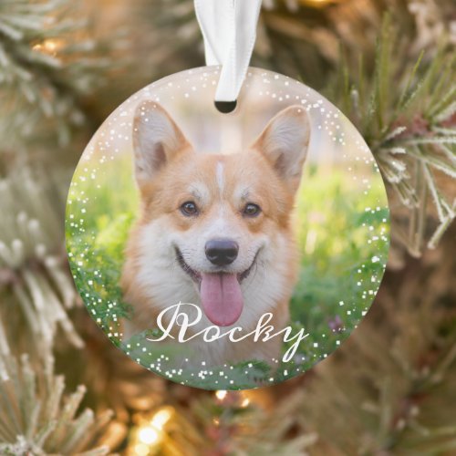Personalized 2 Photo Pet Dog Puppy Holiday Ornament