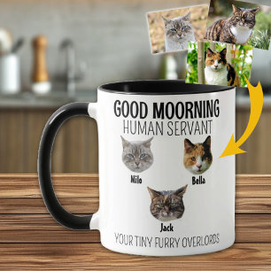 Personalized 3 Cat Photo Mug