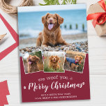 Personalized 4 Pet Photo Woof You Merry Christmas Holiday Card<br><div class="desc">We Woof You A Merry Christmas! Send cute and fun holiday greetings with this super cute personalized custom pet photo holiday card. Merry Christmas wishes from the dog with cute paw prints in a fun modern photo collage design. Add your dog's photos or family photos with the dog, and personalize...</div>