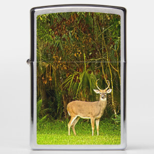 Personalized 4 point Buck Deer animal Zippo Lighter