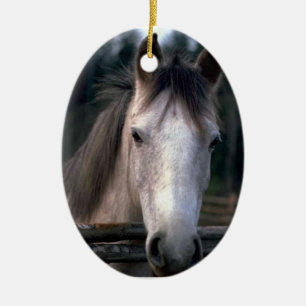 Personalized 4PetRescue Ceramic Ornament