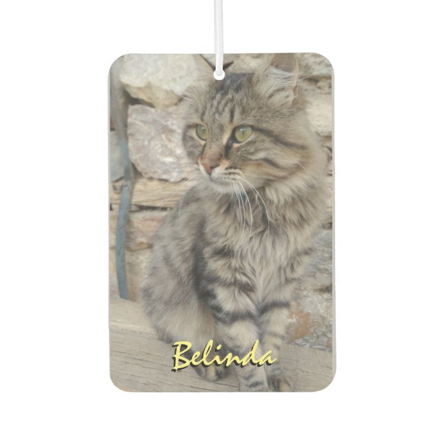 Personalized Add Name and Photo Car Air Freshener (Front)