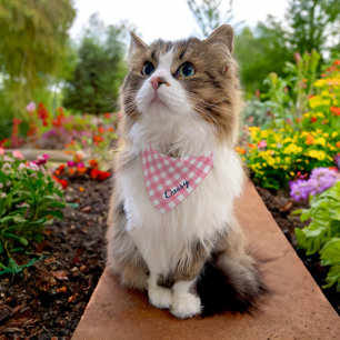 Personalized Add Name Script Baby Pink Gingham Pet Bandana Collar