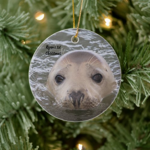 Personalized Adorable Gray Seal Photo Ornament