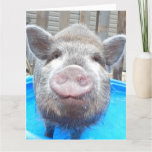 Personalized Adorable Mini Pig Greeting Card, Card at Zazzle