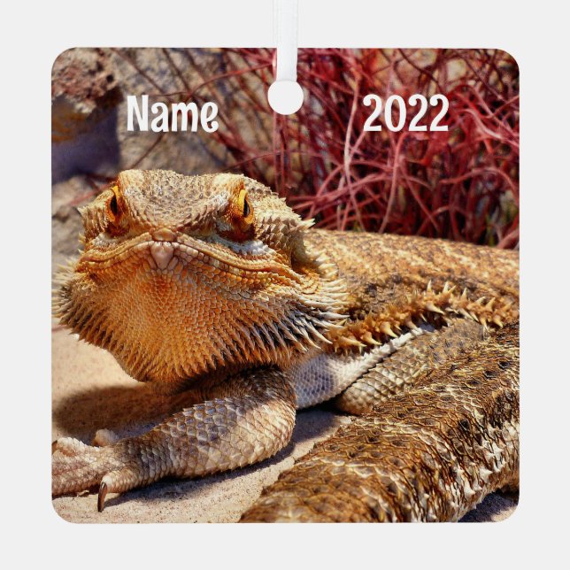 Personalized Adult Bearded Dragon Lizard Metal Ornament (Back)