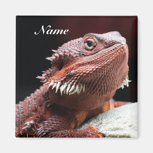 Personalized Adult Red Bearded Dragon Lizard Magnet