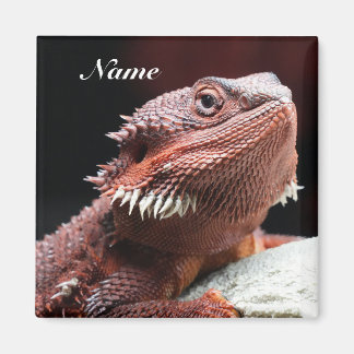 Personalized Adult Red Bearded Dragon Lizard Magnet