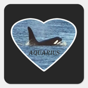 Personalized Aquarius Orca Whale Customizable  Square Sticker
