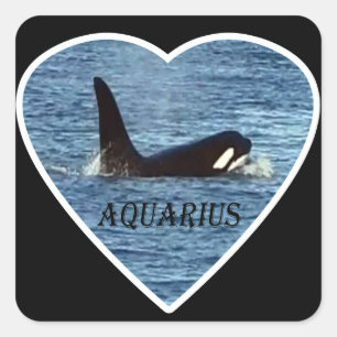 Personalized Aquarius West Coast Community Whale Square Sticker