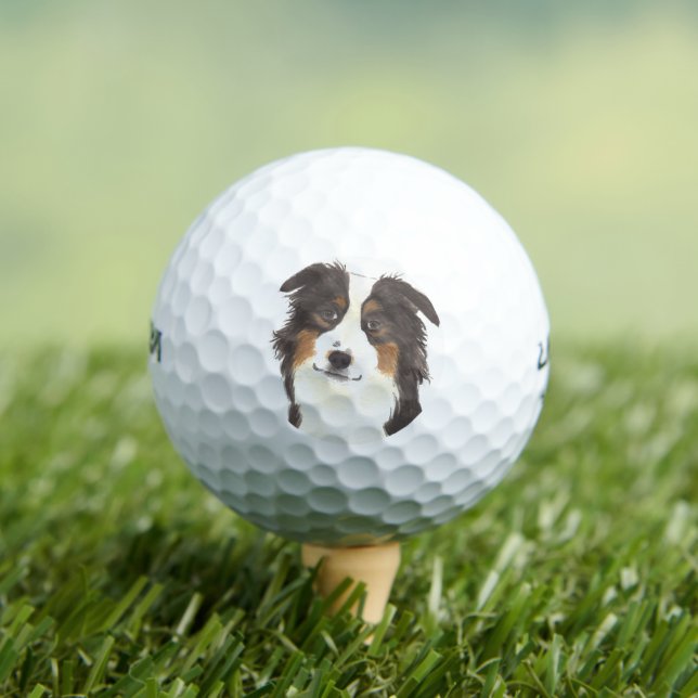 Personalized Aussie Australian Shepherd Golf Balls (Insitu Tee)