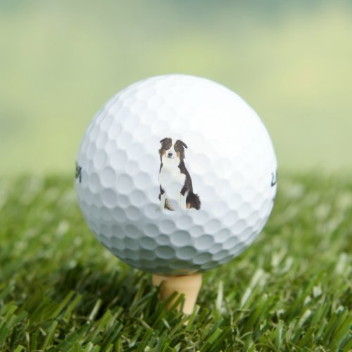 Personalized Aussie Australian Shepherd Golf Balls