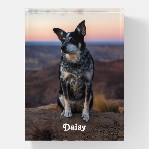 Personalized Australian Cattle Dog Heeler _ Sunset Paperweight