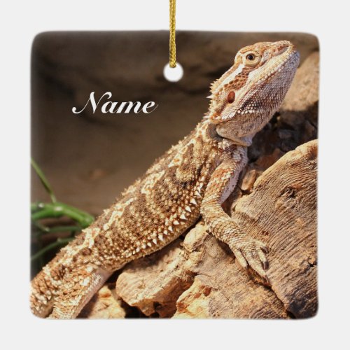 Personalized Baby Bearded Dragon Lizard Ceramic Ornament