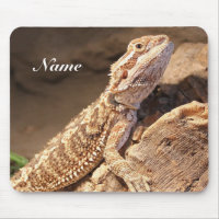 Personalized Baby Bearded Dragon Lizard