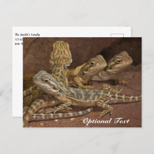 Personalized Baby Bearded Dragon Lizard Postcard