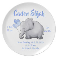 Personalized Baby Boy Birth Stat Elephant Nursery Dinner Plate