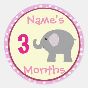 Baby Month Stickers