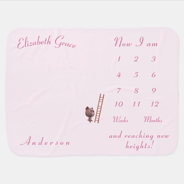 Personalized Baby Koala Milestones Blanket (Horizontal)