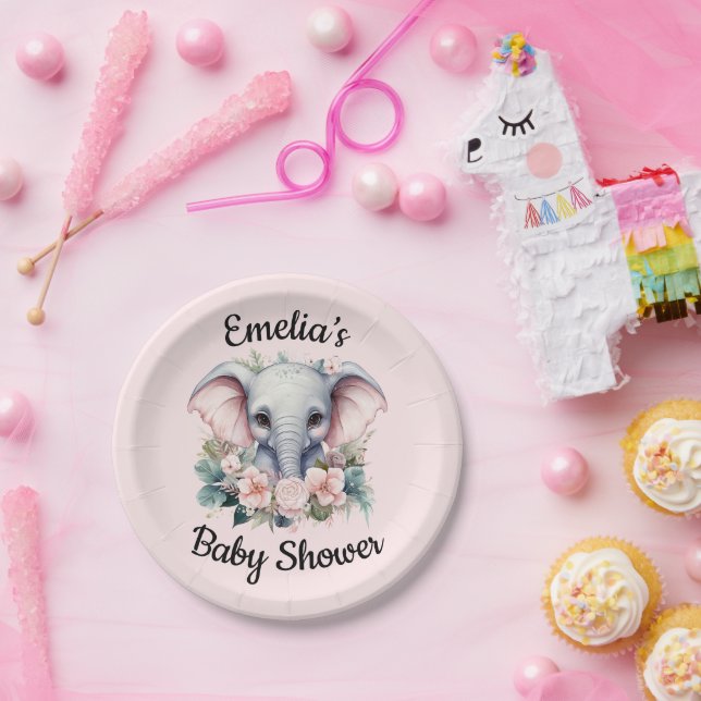 Personalized baby shower paper plates (Party)