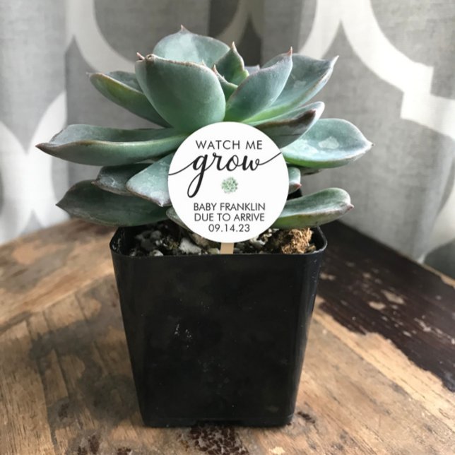 Personalized Baby Shower Succulent Favor  Classic Round Sticker (Creator Uploaded)