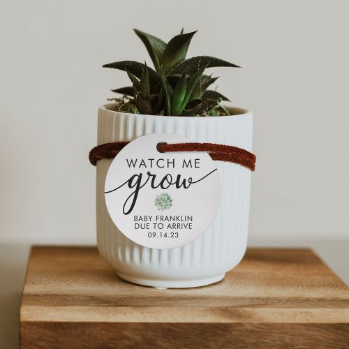 Personalized Baby Shower Succulent Favor Tags