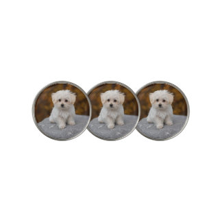 Personalized ball marker with cute Pet Photo