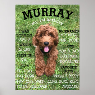 Personalized BARKday Dog Birthday Party Milestone Poster