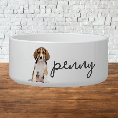 Personalized Beagle Dog Food Bowl