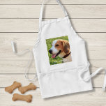 Personalized Beagle Dog Photo and Dog Name Adult Apron<br><div class="desc">Personalized Beagle Dog Photo and Dog Name design - customize this keepsake with an uploaded photo of your Beagle the dog's name or add your own text - We love "dog's name", dog's birthday or day of passing. Just click on "customize" to add your personalized text, change the font and...</div>
