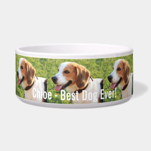 Personalized Beagle Dog Photo and Dog Name Bowl