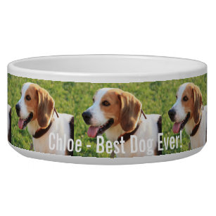 Personalized Beagle Dog Photo and Dog Name Bowl