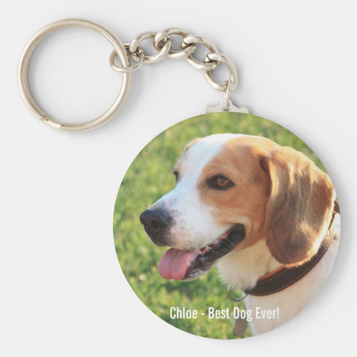 Beagle Gifts Beagle Keychain Eco Friendly Gifts for Dog Lovers