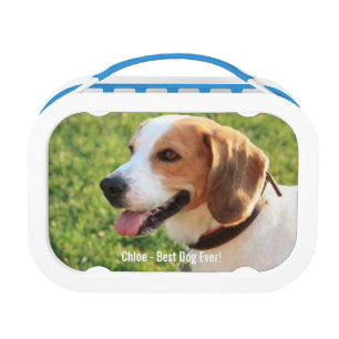 Personalized Beagle Dog Photo and Dog Name Lunch Box