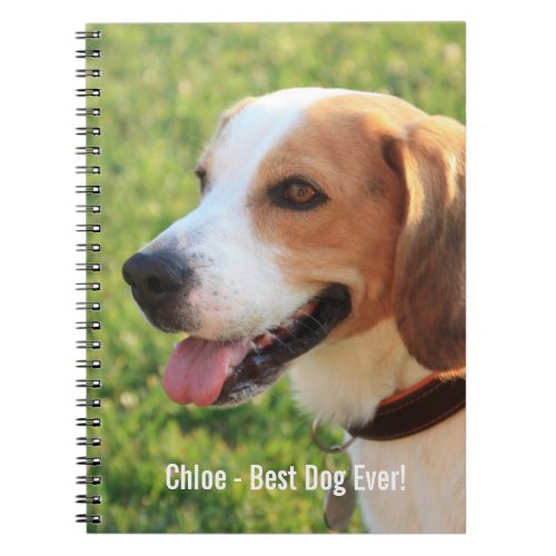 Personalized Beagle Dog Photo and Dog Name Notebook