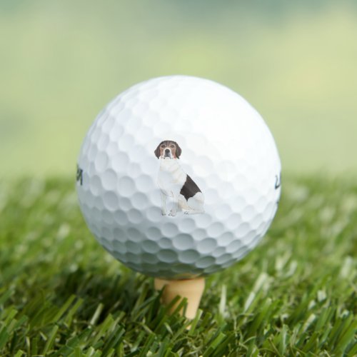 Personalized Beagle Golf Balls