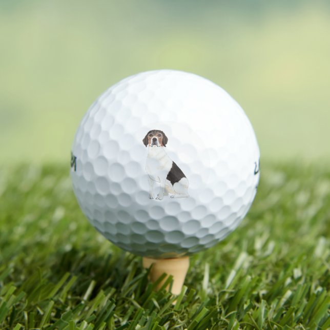 Personalized Beagle Golf Balls (Insitu Tee)