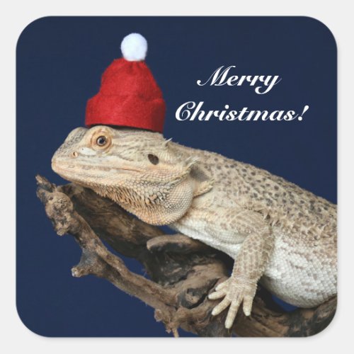 Personalized Bearded Dragon Lizard _ Santa Hat Square Sticker