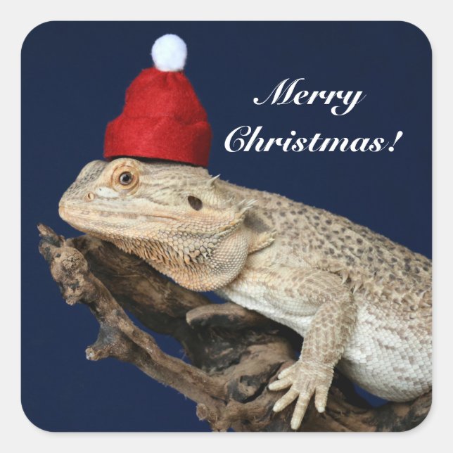 Personalized Bearded Dragon Lizard - Santa Hat Square Sticker (Front)