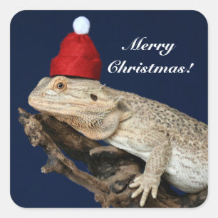 Personalized Bearded Dragon Lizard - Santa Hat Square Sticker