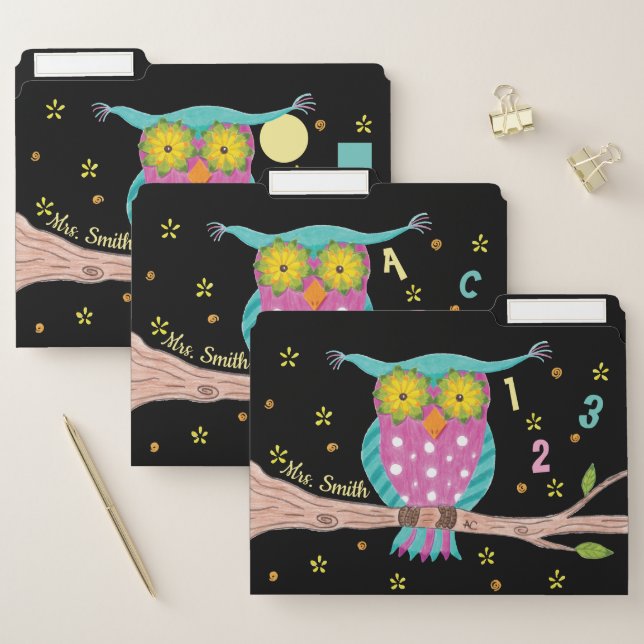 Personalized beautiful owl teacher file folders (Set)