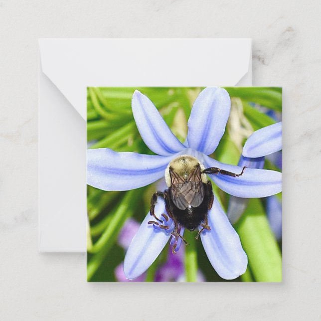 Personalized bee in flower mini notecards (Front)